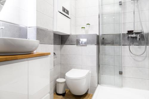 克拉科夫的住宿－Househost Apartment:Bracka 3/15A，一间带水槽、卫生间和淋浴的浴室