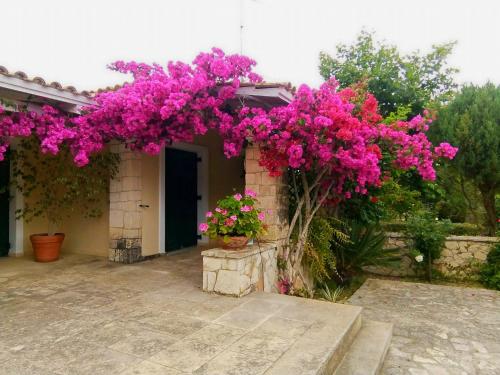 Casa Nostos