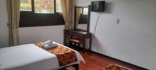a bedroom with a bed and a mirror and a television at Hotel MAXIRUMA - Villa TAMAUKA in Iza
