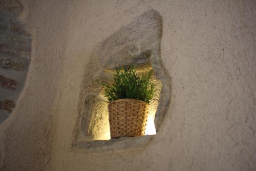 a plant in a small window in a wall at Locanda Vecchia Osteria in Varese