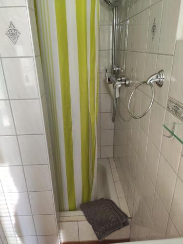 ein Bad mit einer Dusche mit einem grünen und weißen Duschvorhang in der Unterkunft Ferienhaus Rodig Sächsischen Schweiz in Saupsdorf