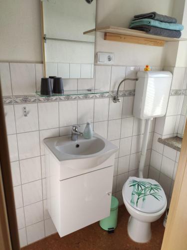 ein kleines Bad mit einem Waschbecken und einem WC in der Unterkunft Ferienhaus Rodig Sächsischen Schweiz in Saupsdorf