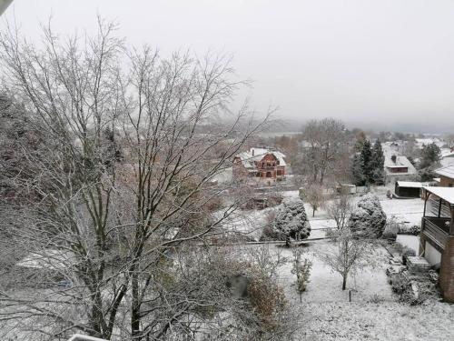 a snow covered yard with trees and a house at FeWo mit Weser-Fernblick in Hehlen