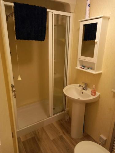 a bathroom with a shower and a sink at Sunny Hunny Manor Park Caravan in Hunstanton