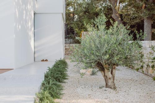 D-Tree HOUSE private heated pool – Photos 4