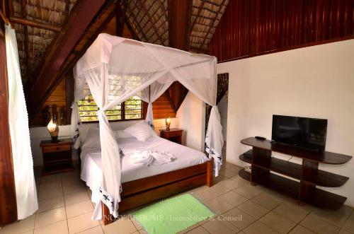 a bedroom with a bed with a canopy and a television at L'antafa in Ambondrona