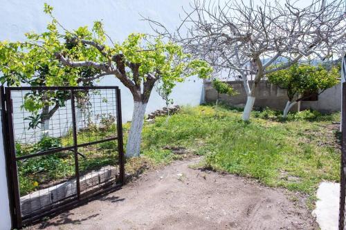 an open gate in a yard with a tree at Palaikastro Holiday Apartment in Sitia