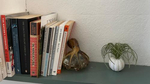 a shelf with books and a potted plant on it at Luxury flat in Totnes in Totnes