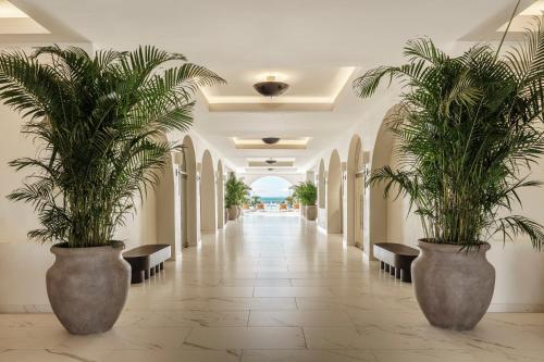 a hallway with two large plants in large pots at Aurora Anguilla Resort & Golf Club in Rendezvous Beach