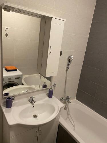 a bathroom with a sink and a mirror and a tub at Apartment Vrbani in Zagreb