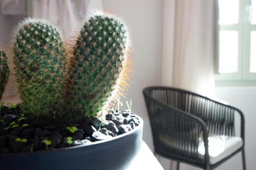 a cactus in a pot on a table next to a chair at Octavia Rooms in Korinthos