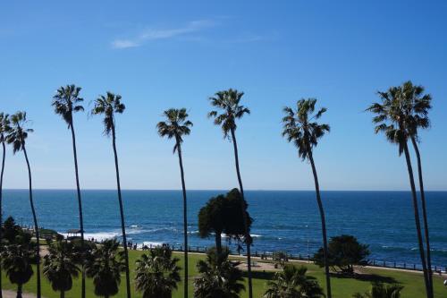 a group of palm trees and the ocean at La Jolla Cove Suites in San Diego