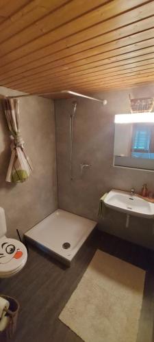 uma casa de banho com um chuveiro, um lavatório e um WC. em 2 Zimmer-Wohnung zur Erholung im Emmental 