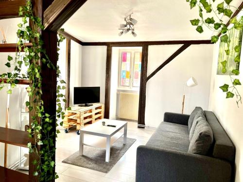 Seppala charmant appartement