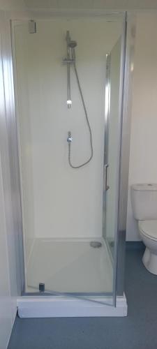 a glass shower in a bathroom with a toilet at Grenada Garden Lodges in Ingoldmells