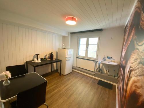 Cette chambre comprend une cuisine équipée d'un réfrigérateur et d'un évier. dans l'établissement Budgetapartment Konzil von Swisspartments, à Arbon