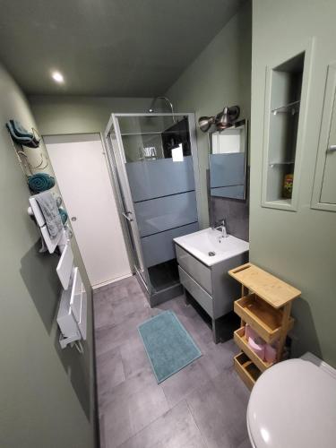 - une salle de bains avec toilettes et lavabo dans l'établissement L'arc-en-ciel, au Tréport