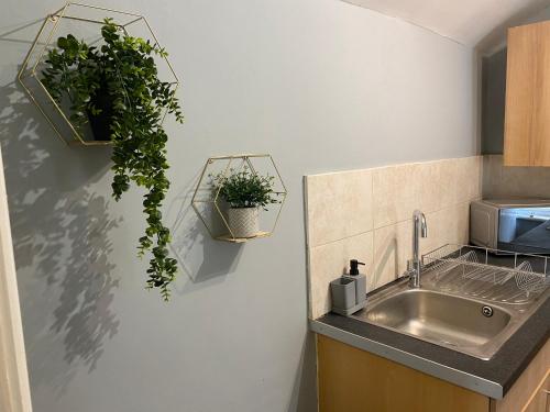 uma cozinha com um lavatório e vasos de plantas na parede em Aspen House - Apartment 3 em Colwyn Bay