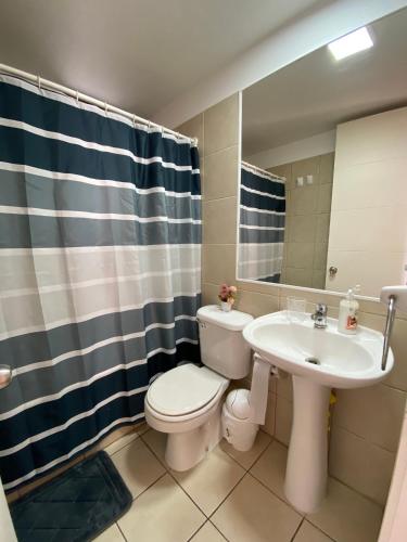 a bathroom with a toilet and a sink at Rincones del Placer, un lugar repleto cariño in Valparaíso
