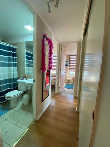 a bathroom with a toilet and a sink and a mirror at Rincones del Placer, un lugar repleto cariño in Valparaíso