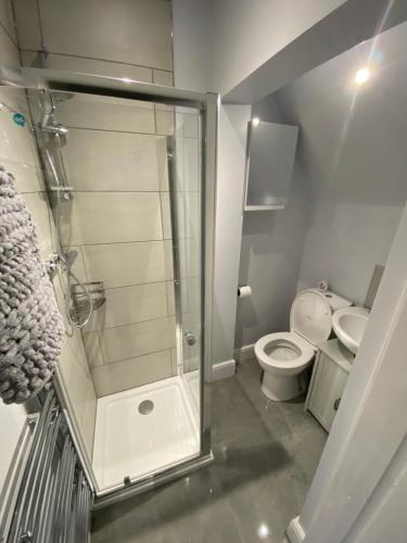 a bathroom with a shower and a toilet at Beckett Guest House in Barnsley