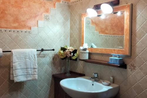 a bathroom with a sink and a mirror at Ca'de Picchio in Arezzo