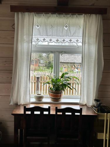 okno z doniczką na stole w obiekcie Leśne PoBudki w Białowieży