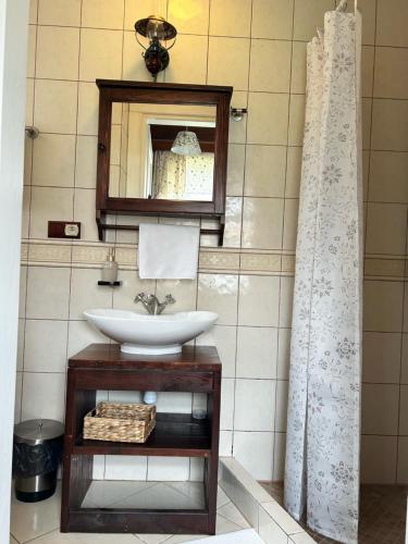 a bathroom with a sink and a mirror at Leśne PoBudki in Białowieża