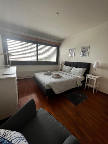 Lugano City Apartment