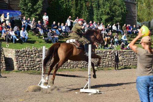 a man riding a horse jumping over an obstacle at Stadnina Koni Kierzbuń in Barczewo