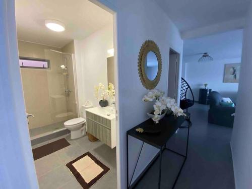 帕皮提的住宿－Iaorana Pamatai accomodation，一间带水槽、卫生间和镜子的浴室