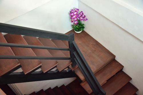 Φωτογραφία από το άλμπουμ του Seedling House στην Κεντρική Πατάγια