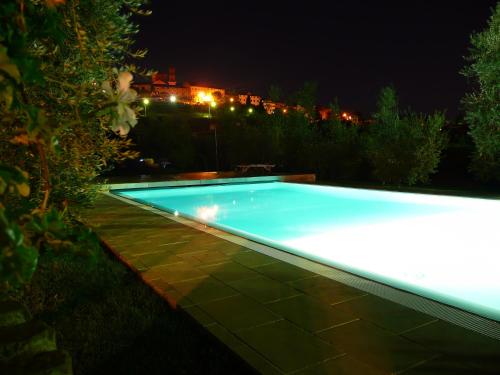 a swimming pool in a garden at night at Il Baraccotto in Lucignano