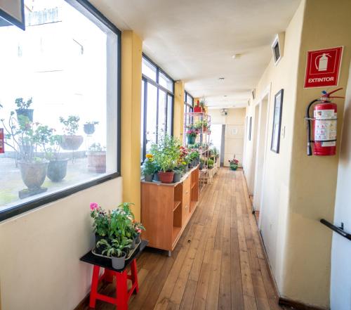 een gang van een kantoor met potplanten bij Casa Mercedes in Quito