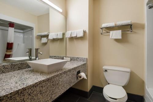 a bathroom with a sink and a toilet at Red Roof Inn South Bend - Mishawaka in South Bend