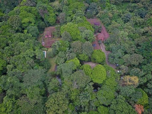 Una vista aérea de Kontiki Forest Glamping Costa Rica