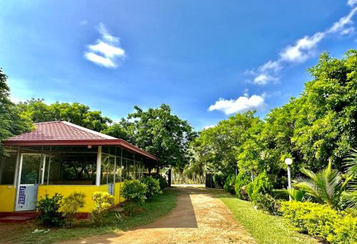 Divers Land Shoy's Place – Photos 2