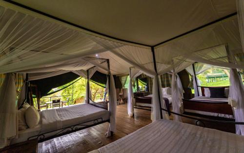 1 dormitorio con 2 camas en una tienda de campaña en Ngorongoro Wild Camp en Ngorongoro
