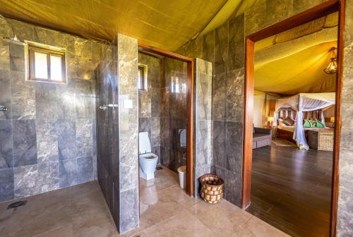 a bathroom with a shower and a toilet and a bedroom at Serengeti Safari Lodge in Banagi