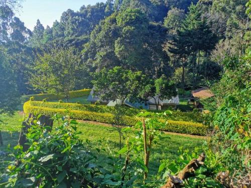 a garden in the middle of a mountain at ECOVALE-KIJABE in Kijabe