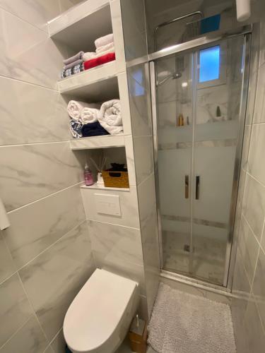 ein Bad mit einem WC und einer Dusche in der Unterkunft Nad Ins in Vincennes