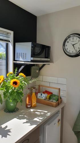 a kitchen with a counter with a microwave and a clock at The Tin Hut in Blenheim