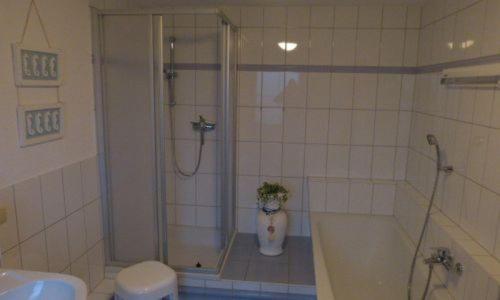y baño con ducha, aseo y lavamanos. en Ferienhaus Luppath, en Poseritz