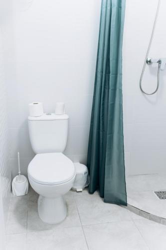 a bathroom with a toilet and a green shower curtain at RESA apart - нові smart-квартири біля річки in Uzhhorod