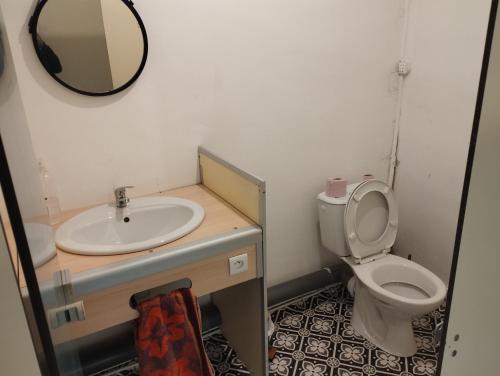 a bathroom with a sink and a toilet and a mirror at Best Price #B "LE SCHISTE" 7x room in Lods