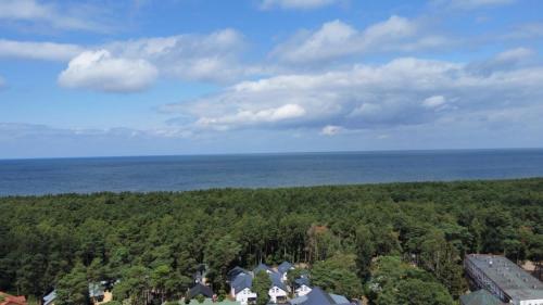 Apartament w sosnowym lesie