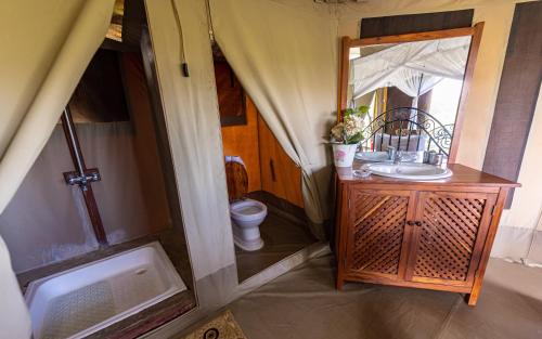 a small bathroom with a sink and a toilet at Serengeti Wildebeest Camp in Banagi