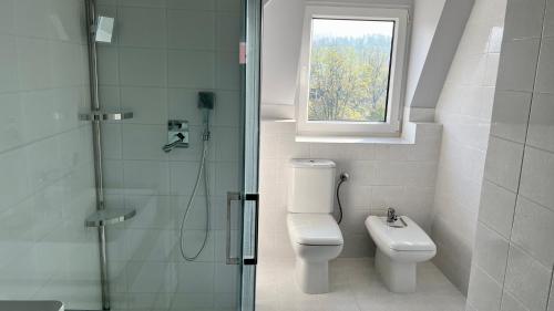 ein Bad mit einer Dusche, einem WC und einem Fenster in der Unterkunft LAWENDOWE NOCOWANIE Główna 19 lok11 in Kudowa-Zdrój