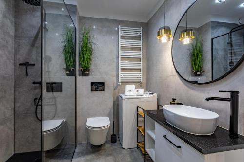 a bathroom with a sink and a toilet and a mirror at Green Park Resort D9- z dostępem do basenu, sauny, jacuzzi, siłowni in Szklarska Poręba