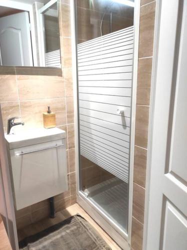 une douche avec une porte vitrée à côté d'un lavabo dans l'établissement Studio atypique centre Rouen, à Rouen